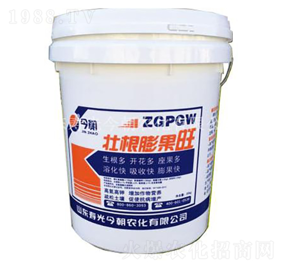 �Ѹ������-���r��