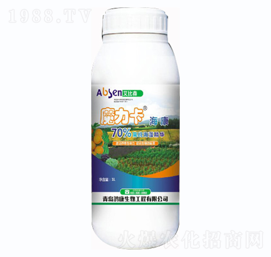 ħ��������-����ɭ-��������