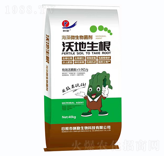 ����΢���������-�ֵ�����-����