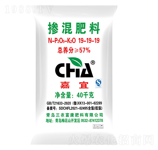 �������19-19-19-����-���r����