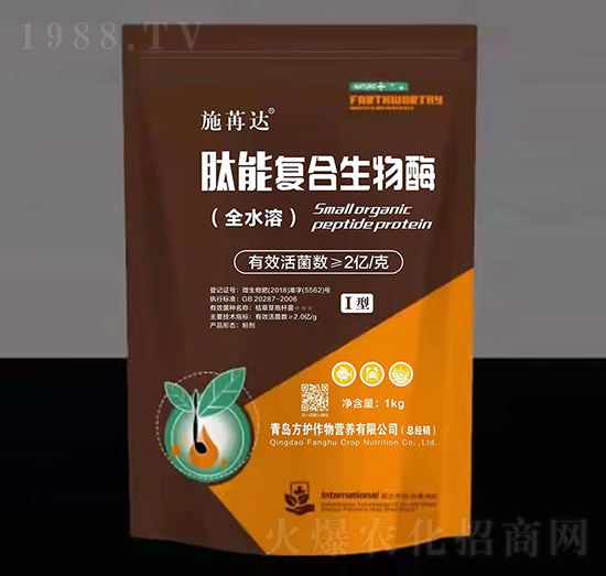 ���܏ͺ�����ø-ʩ���_-���o����