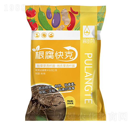 �������-������