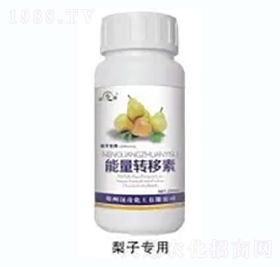 ���������D(zhu��n)����-�h�滯��