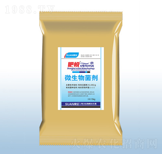 ΢�������-�ʐ�6̖-�ڰ�