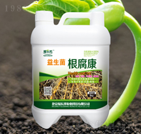 ������������-����(l��)��