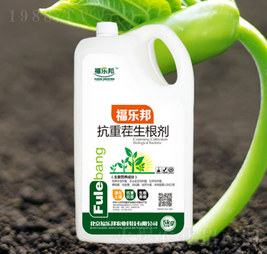 ���ز�������-������