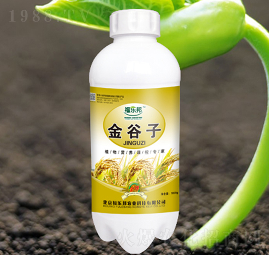 �����-������