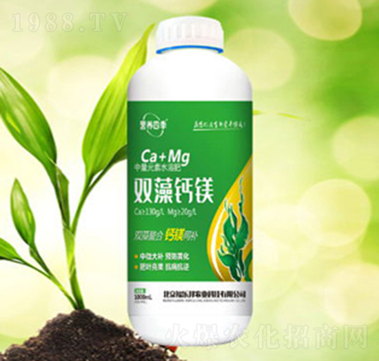 �I�B(y��ng)�ļ�-�p���}�V-������