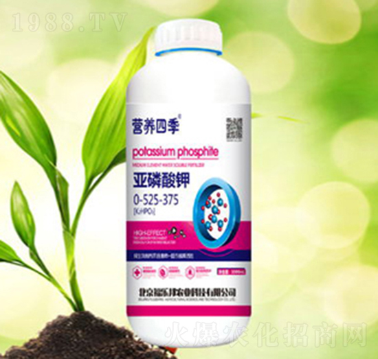 �I(y��ng)�B(y��ng)�ļ�-�������-����(l��)��