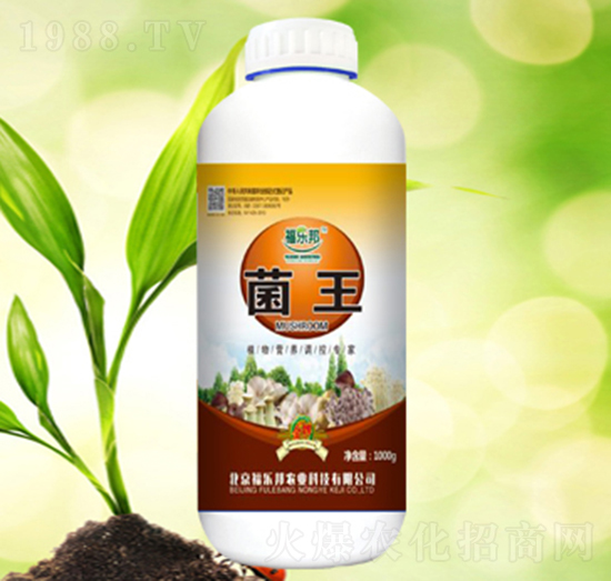 ����-����(l��)��