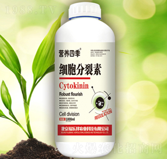 ����������-������