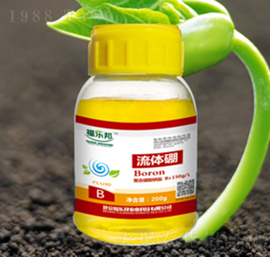 200g���w��-������