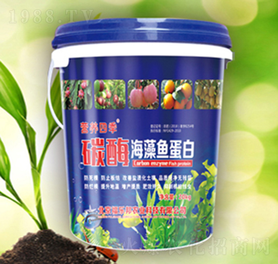 ̼ø�����~����-������