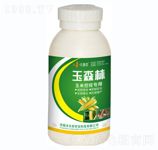 ���׿�������-��ɭ��-�ַ�z