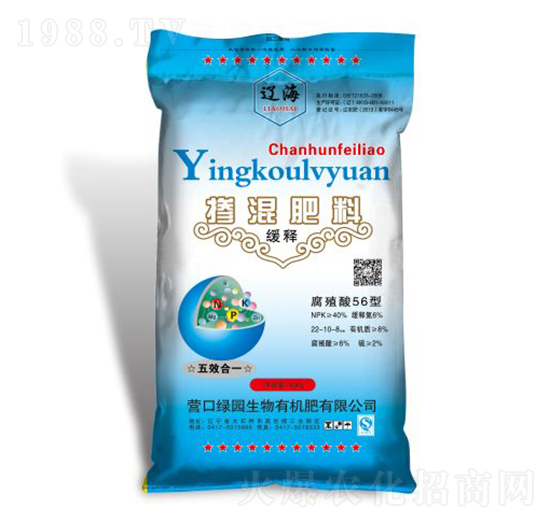 ��ጓ����-�G�@����