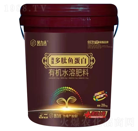 ��������~(y��)����-ؐ����-��?t��ng)��S