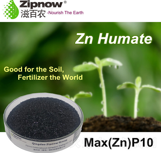 ��ֲ���\-�̰��r