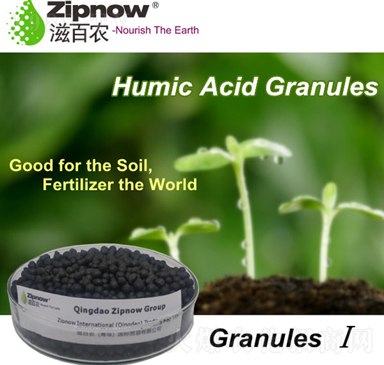 ��ֲ���w����-�̰��r