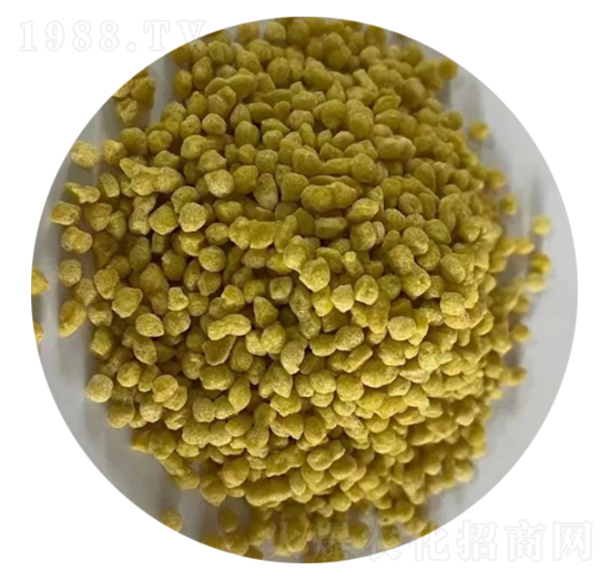 ���@�w�����Sɫ��-�ǈ�