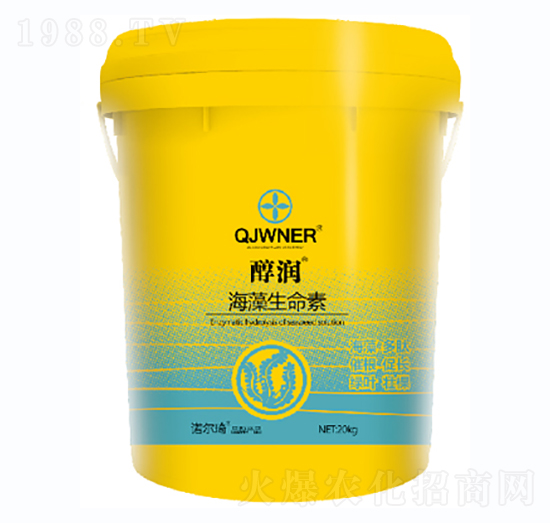 ����������������-�Z����