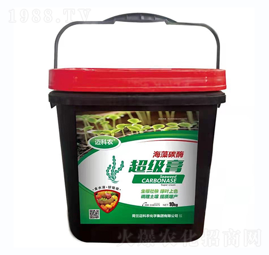 ����̼ø����(j��)��-�~���r(n��ng)-�Έ�����