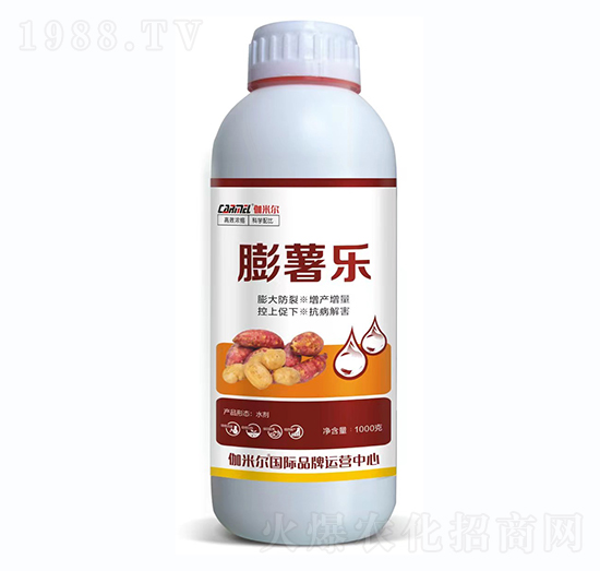 �������������a(ch��n)����-���혷(l��)-�_˼ķ