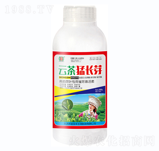 �Ʋ����Lѿƿ-�����S