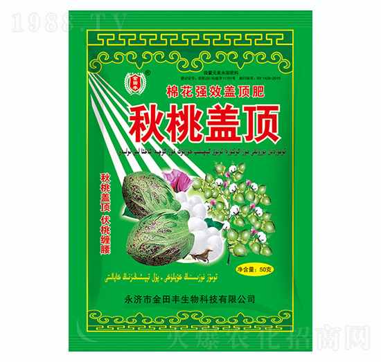 �����w�-�����S