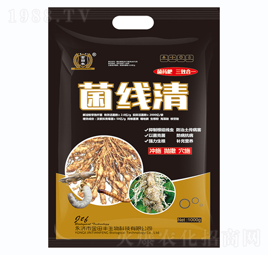 ����Ո-�����S