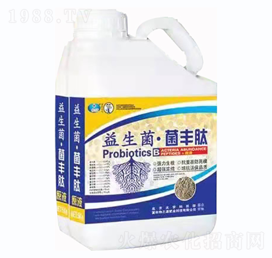 �����������S��-�G�؈@