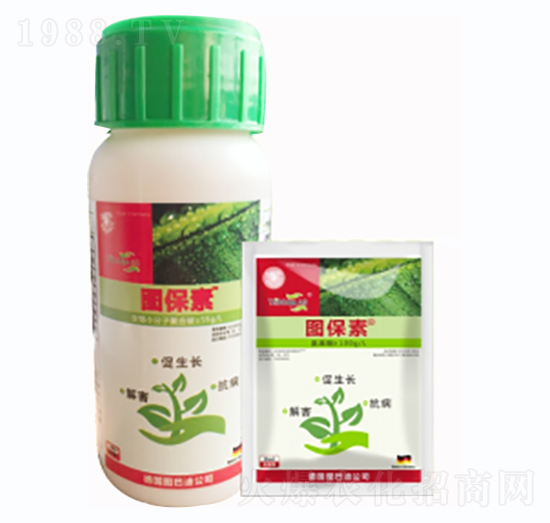 ֲ����������T�����-�D����-�D�͵�