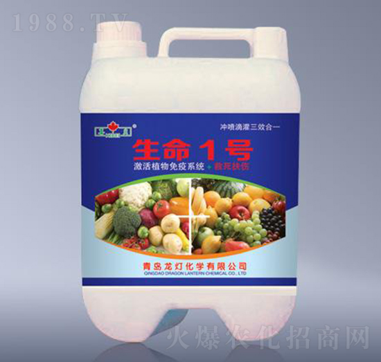 ����1̖(h��o)-����-����