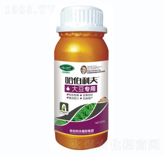 �󶹌���-��������