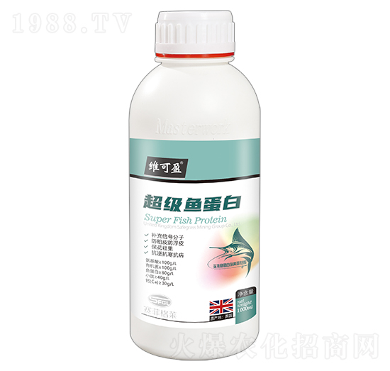 �����~����-�S��ӯ-ِ�Ƹ��R