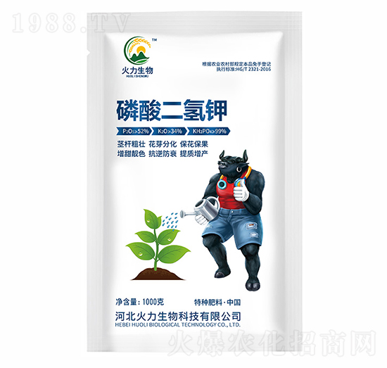 ��������-����S����