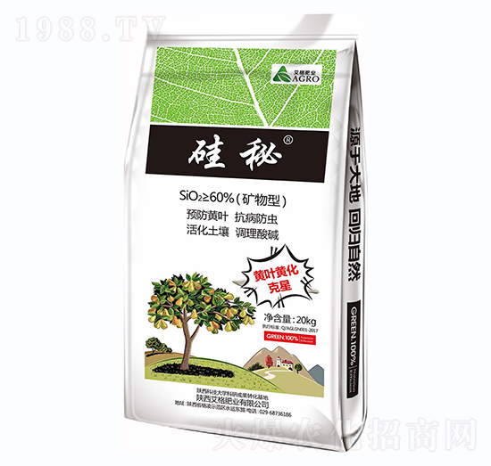 ���صV����-����ʘI(y��)