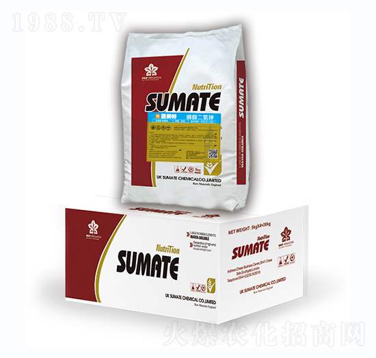 ��������-������