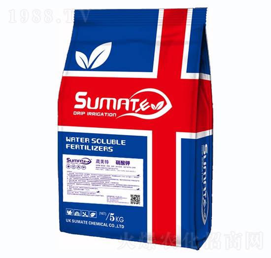 �����-������