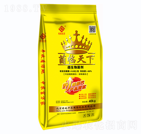 ΢�������-���R����-�G�����r