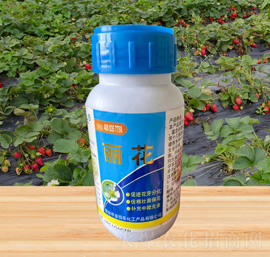 ����-�𲮘�