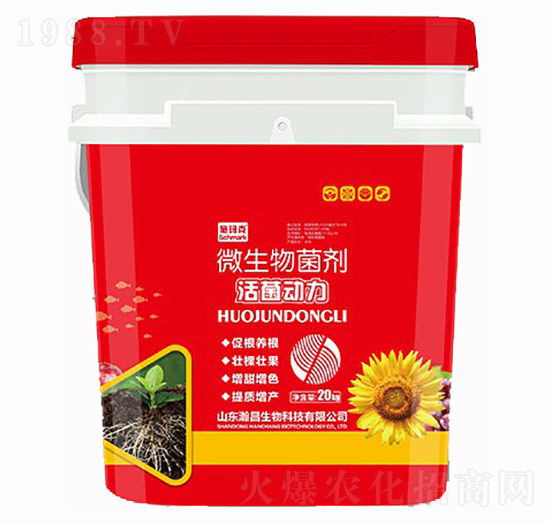 �����(d��ng)����΢�������-ʩ����-嫲�����