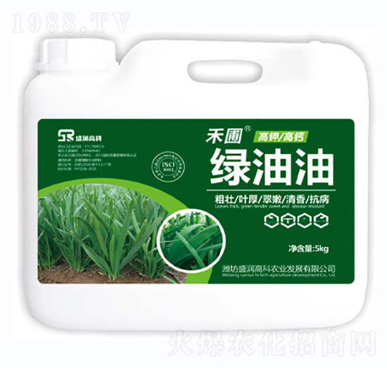 綠油油-盛潤高科