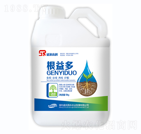 �����-ʢ��(r��n)�߿�