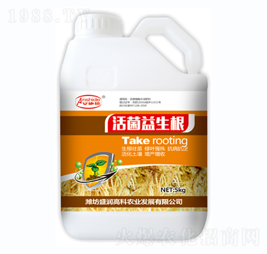 ���������-ʢ���߿�