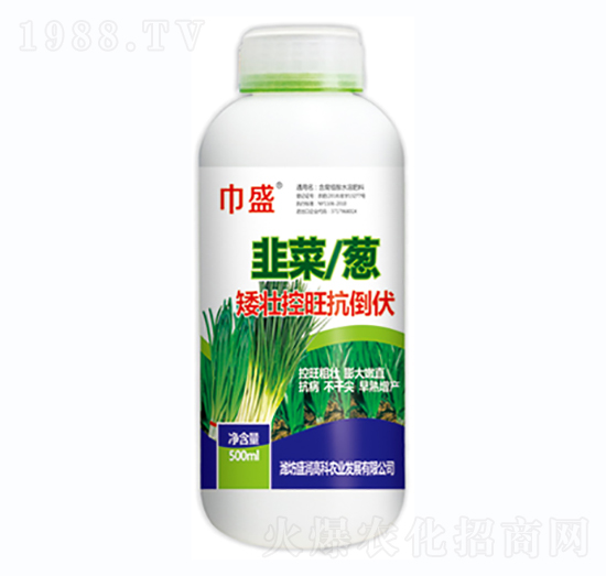 �²����[���ѿ���������-��ʢ-ʢ���߿�