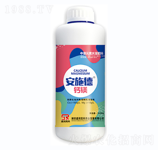 ��ʩ�¡��}�V-ʢ���߿�