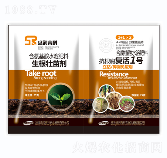 �������焩+��������(f��)��1̖-ʢ���߿�