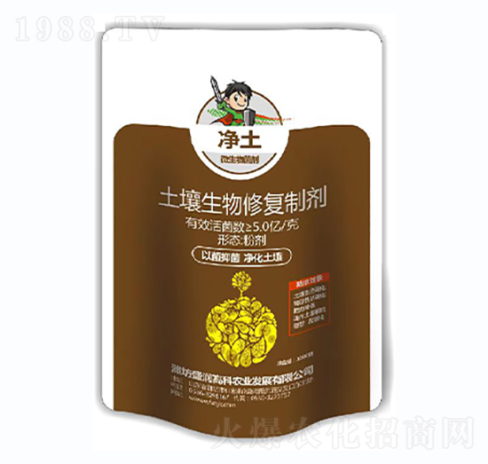 ���������ޏ��Ƅ�-����������-ʢ���߿�