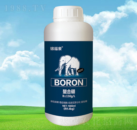 ������-�\����-�S���r(n��ng)�I(y��)