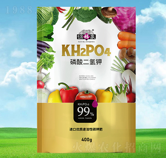 ��������-�\����-�S���r(n��ng)�I(y��)